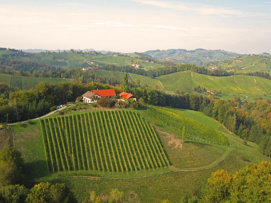 Weingut- Gaestezimmer Marko ロイトシャッハ エクステリア 写真