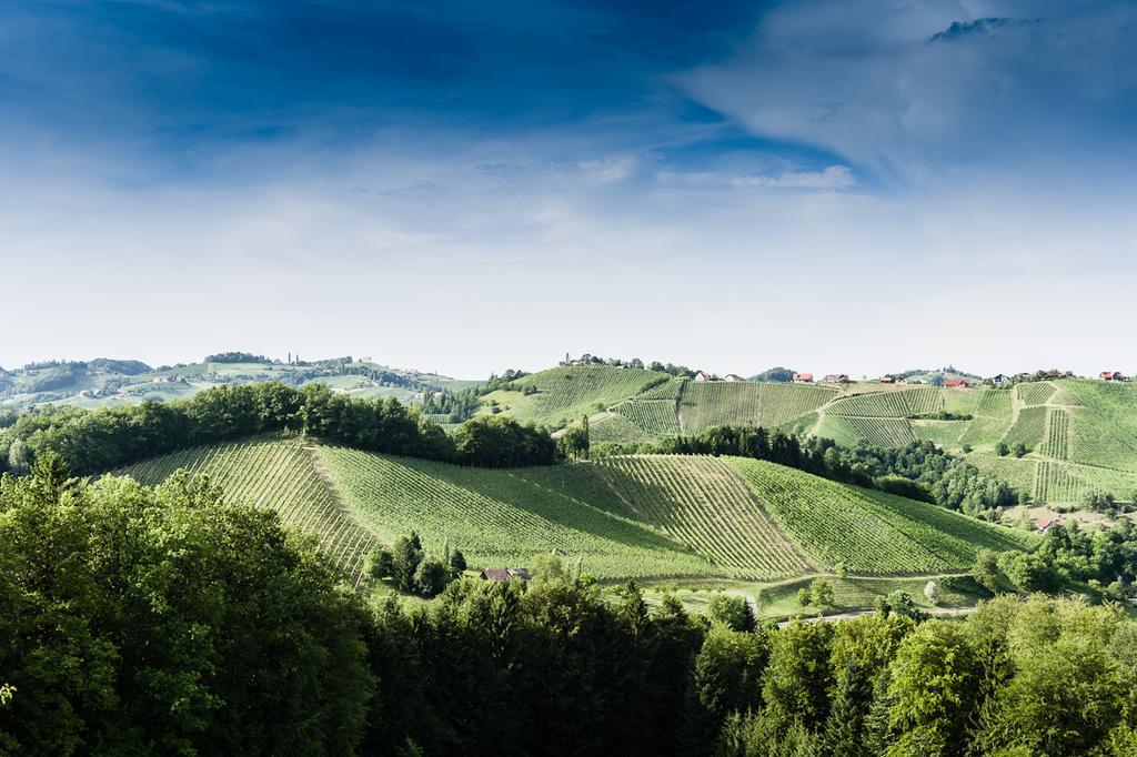Weingut- Gaestezimmer Marko ロイトシャッハ エクステリア 写真