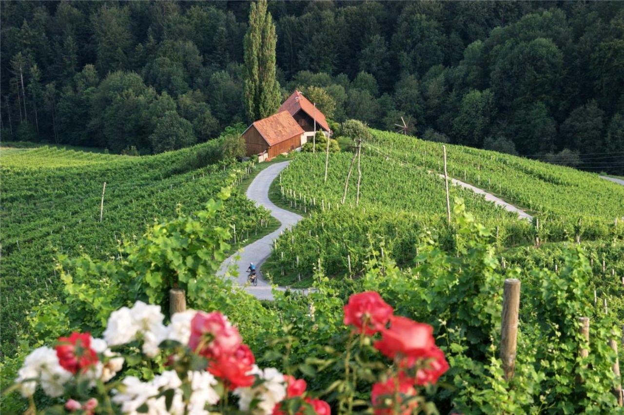 Weingut- Gaestezimmer Marko ロイトシャッハ エクステリア 写真
