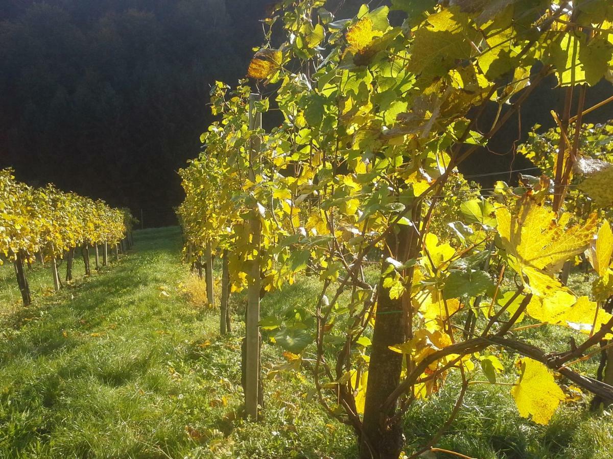 Weingut- Gaestezimmer Marko ロイトシャッハ エクステリア 写真